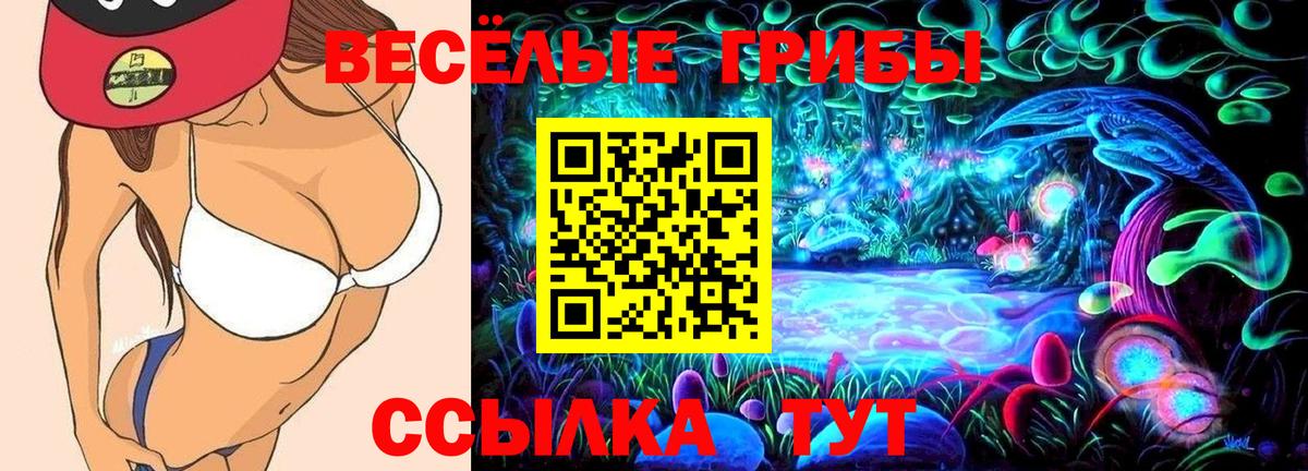 Галлюциногенные грибы ЛСД Тосно