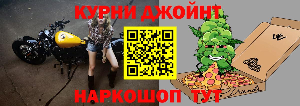 Бошки Шишки планчик Тосно